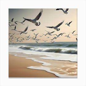 Seagulls 5 Canvas Print