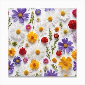 Wildflowers On White Background Canvas Print