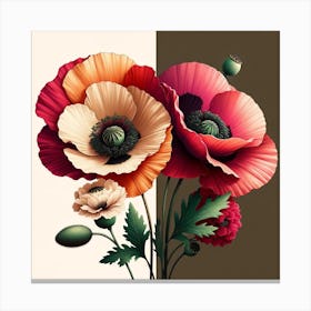 Poppies 5 Canvas Print