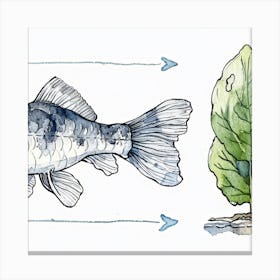 Illustration Of A Fish And Plant Canvas Print