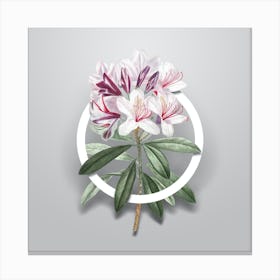 Vintage Common Rhododendron Minimalist Floral Geometric Circle on Soft Gray n.0173 Canvas Print