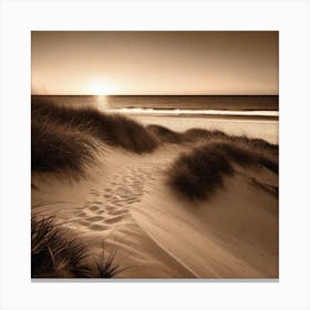 Sand Dunes At Sunset 2 Canvas Print