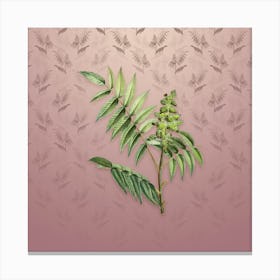 Vintage Staghorn Sumac Botanical on Dusty Pink Pattern n.2447 Canvas Print