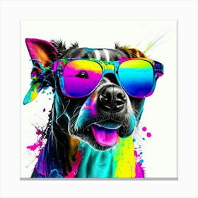 Colourful Dog Sunglasses (48) Canvas Print