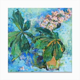 Chestnut flowers Canvas Print