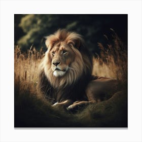 A powerful and majestic lion in its natural habitat4 Canvas Print