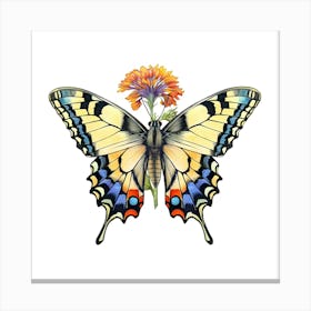 Butterfly On A Flower Canvas Print