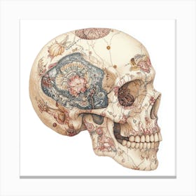 Skull With Flowers 20 Canvas Print