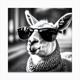 Llama Wearing Sunglasses 2 Canvas Print