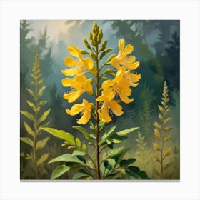 Wild Senna Wildflower Vintage Botanical Art Print 1 Canvas Print