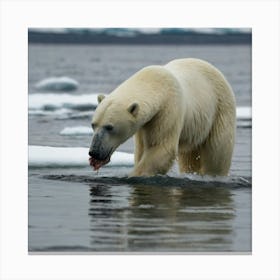 Polar Bear In The Water Canvas Print