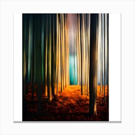 Forest 1 Canvas Print