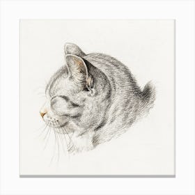 Rolled Up Lying Sleeping Cat 1, Jean Bernard Canvas Print