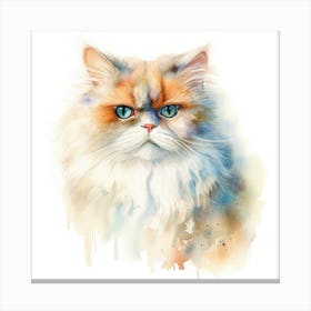 Persian Traditional Cat Portrait 2 Canvas Print