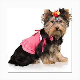 Dog In Pink Dress Canvas Print