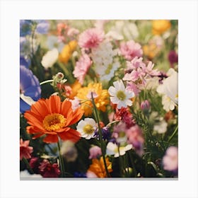 Wildflowers Canvas Print