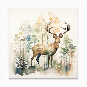 Deer In The Woods 1 Canvas Print