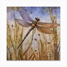 Dragon Fly By Peter Ghetu 2024 Canvas Print