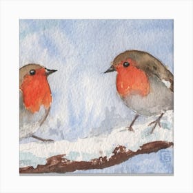 robin birds Canvas Print