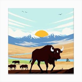 Bison In The Grassland Canvas Print