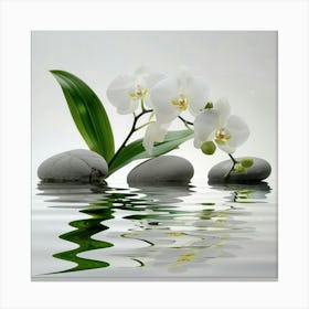 White Orchids In Water 2 Canvas Print