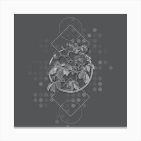 Vintage Tomentose Rose Botanical with Line Motif and Dot Pattern in Ghost Gray n.0157 Canvas Print