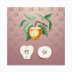 Vintage Carla Apple Botanical on Dusty Pink Pattern n.0819 Canvas Print