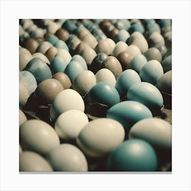 Blue Eggs Canvas Print