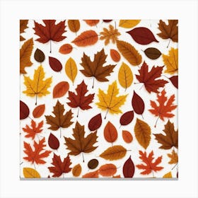 Autumn Leaves 19 Canvas Print