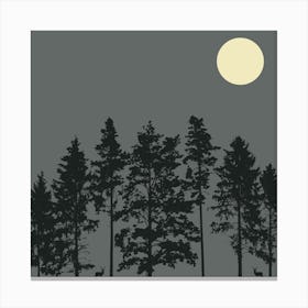 Silhouette Of Trees At Night Canvas Print