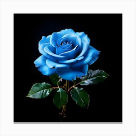 Blue Rose Canvas Print