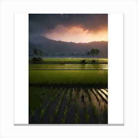 Sunset In The Rice Fields Canvas Print