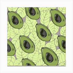 Avocados And Leaves Canvas Print