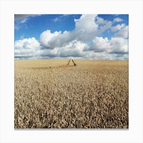 Wheat Fields Sky (2008) Canvas Print