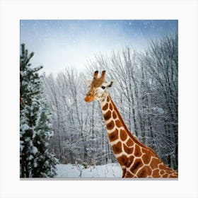 Firefly Happy, Giraffe, Winter, Snowing, Wonderland, Joy, Snowflakes, Magical, Animal, Nature, Whims Canvas Print