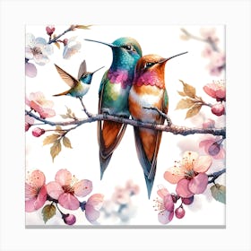 Hummingbirds In Blossom 1 Canvas Print