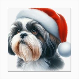 Shih Tzu 28 Canvas Print