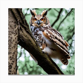 Owl In The Forest 12 Canvas Print