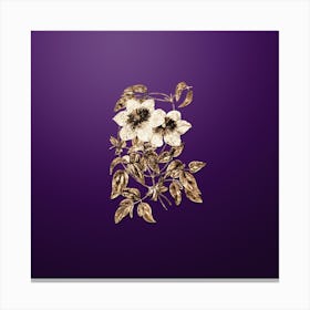 Gold Botanical Siebald's Clematis on Royal Purple n.0160 Canvas Print