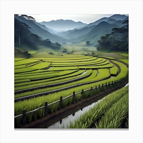 Rice Fields In Vietnam Canvas Print