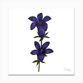 Double Purple Flower 2 Canvas Print