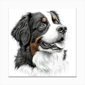 Bernese Mountain Dog Canvas Print