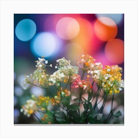 Bokeh Background With Flowers Canvas Print