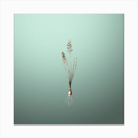 Gold Botanical Autumn Squill on Mint Green n.1682 Canvas Print