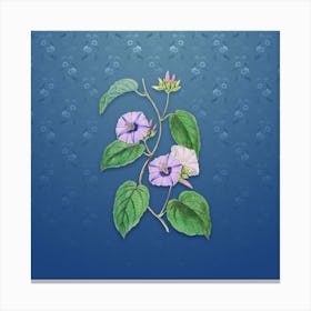 Vintage Hoary Jacquemontia Flower Botanical on Bahama Blue Pattern n.0573 Canvas Print