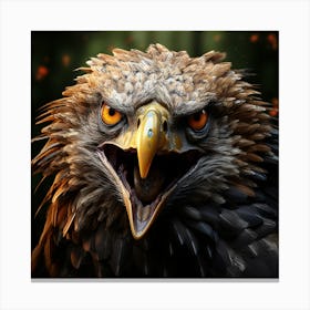 Eagle 16 Canvas Print