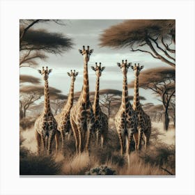 Giraffes In The Savannah 1 Canvas Print