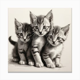 Cuteness Overload Kittens Canvas Print