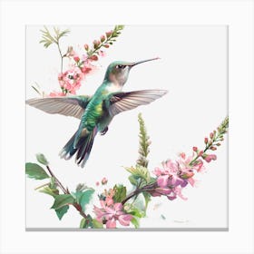 Hummingbird 2 Canvas Print