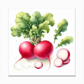 Radish 2 Canvas Print